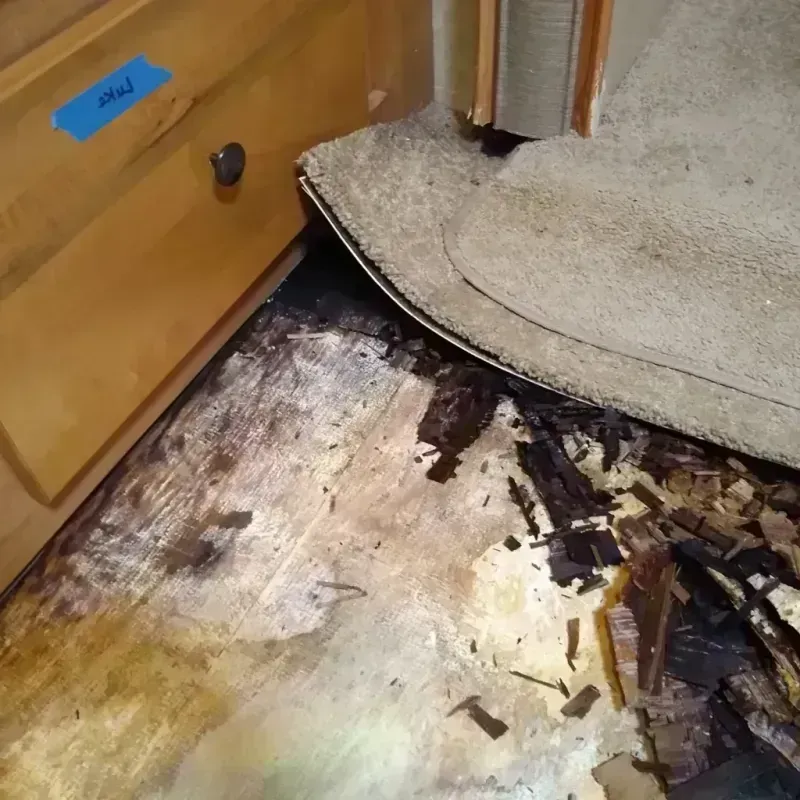 Best Wood Floor Water Damage Service in Wanamingo, MN